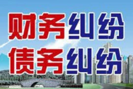 沈丘收账公司：珠海收债公司-与古董珍藏家创设协调